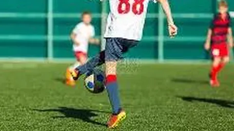 奇异果体育 产品 085401 rui