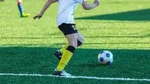 奇异果体育 产品 091948 76k