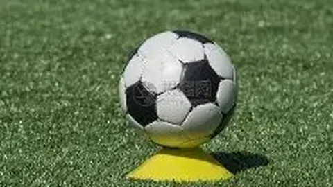 奇异果体育 产品 092245 7lg