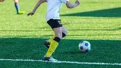 实践项目中的面向对象多态应用策略