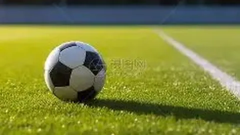 宁德时代携手中国移动咪咕进军欧洲顶级足球联赛合作