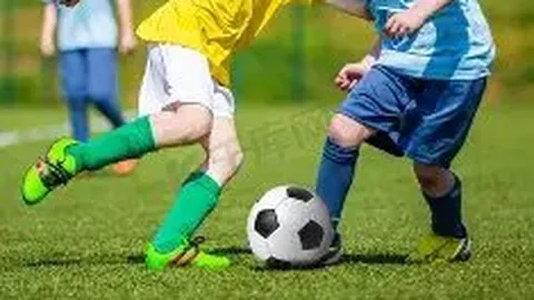 奇异果体育 产品 084842 2cq