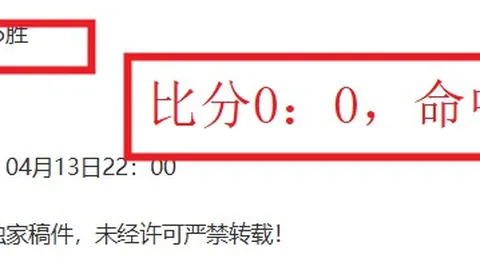 马雷斯卡：球队未进前四，需关注帕尔默心态变化